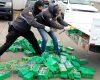 Haaland, prins pe un transport de 17 milioane euro cocaină