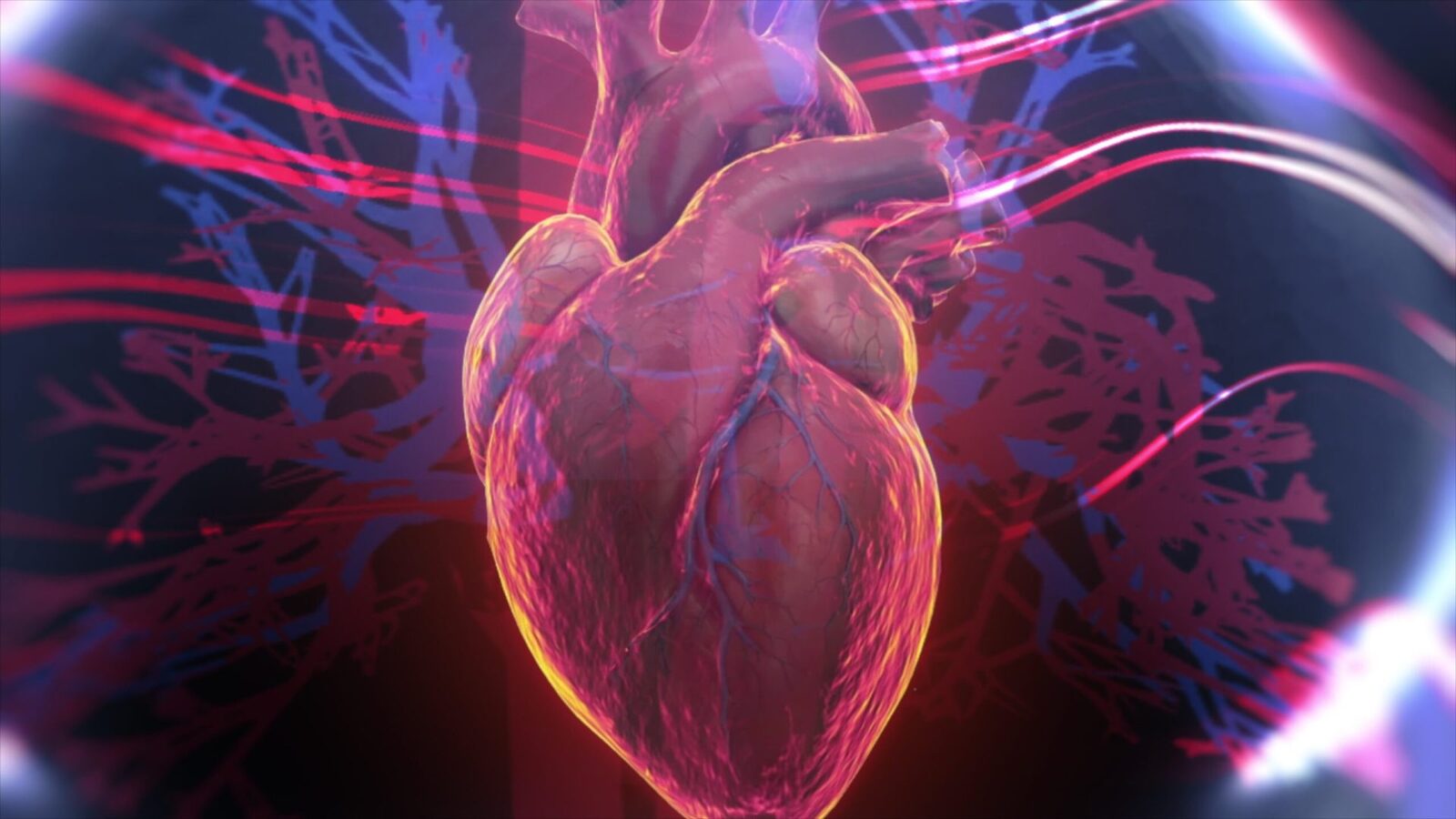 Cadavre digitale vs. Disecție clasică: Revoluție medicală