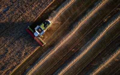 Fermieri ucraineni, recoltă bogată, marfă blocată de Rusia