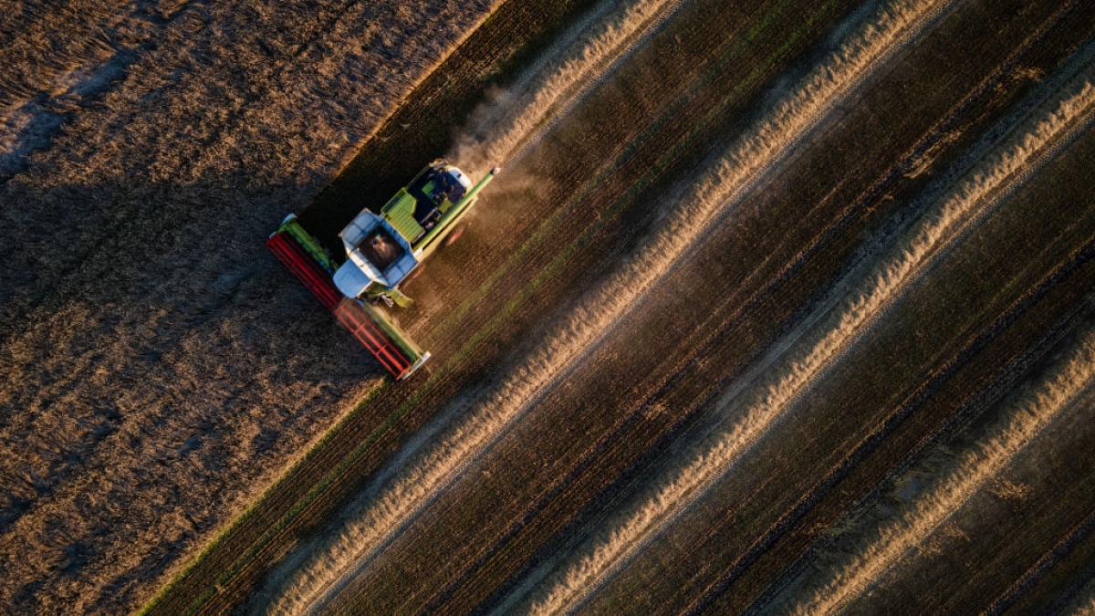 Fermieri ucraineni, recoltă bogată, marfă blocată de Rusia