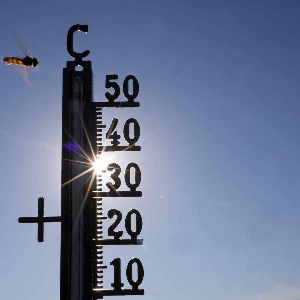 Germania arde: Caniculă de 39 de grade