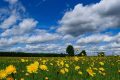 Temperaturi uriașe în weekend: 36 de grade