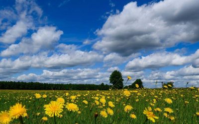 Temperaturi uriașe în weekend: 36 de grade