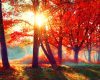 Toamnă caldă! Prognoza meteo pentru o lună de zile