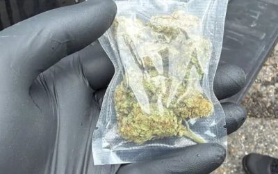Doi suspecți de trafic de droguri mari la Buzău