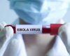 Epidemia avansează mai Rapid ca oricând