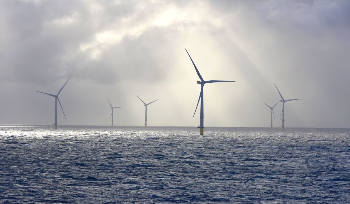 Eoliene pe Marea Neagră: 27 miliarde euro pentru economie
