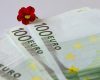 AFIR deschide porțile: 5 milioane euro pentru flori și plante, din 1 septembrie