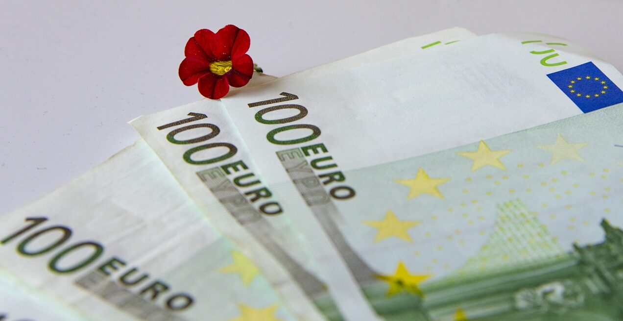 AFIR deschide porțile: 5 milioane euro pentru flori și plante, din 1 septembrie