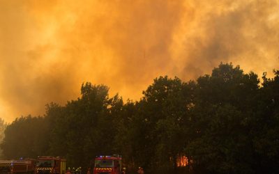 Incendii Franța: Suspectate acte intenționate, sute de arestați, inclusiv minor