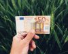 Ferme mici: 50.000 EUR din fonduri EU 2026. Descarcă ghidul AFIR
