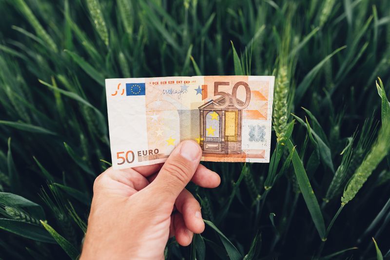 Ferme mici: 50.000 EUR din fonduri EU 2026. Descarcă ghidul AFIR