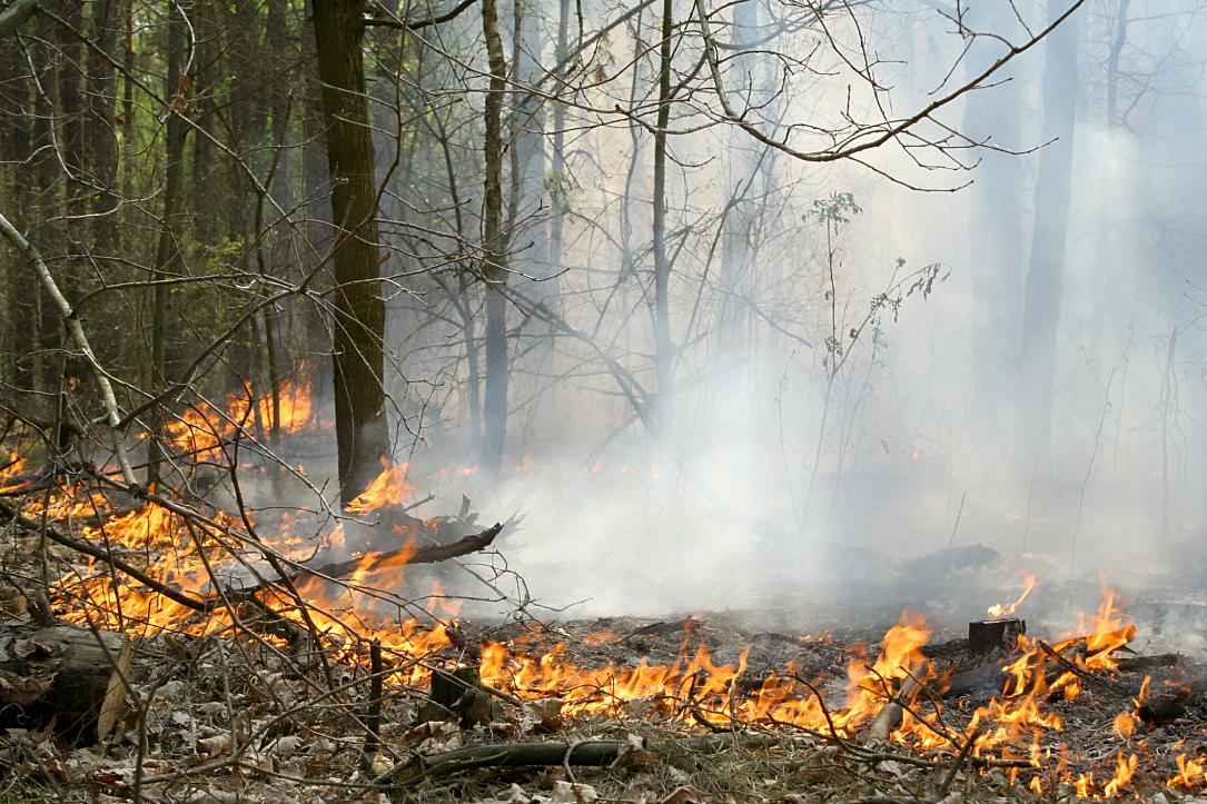 Incendiu în sud-estul României, după o posibilă explozie de dronă
