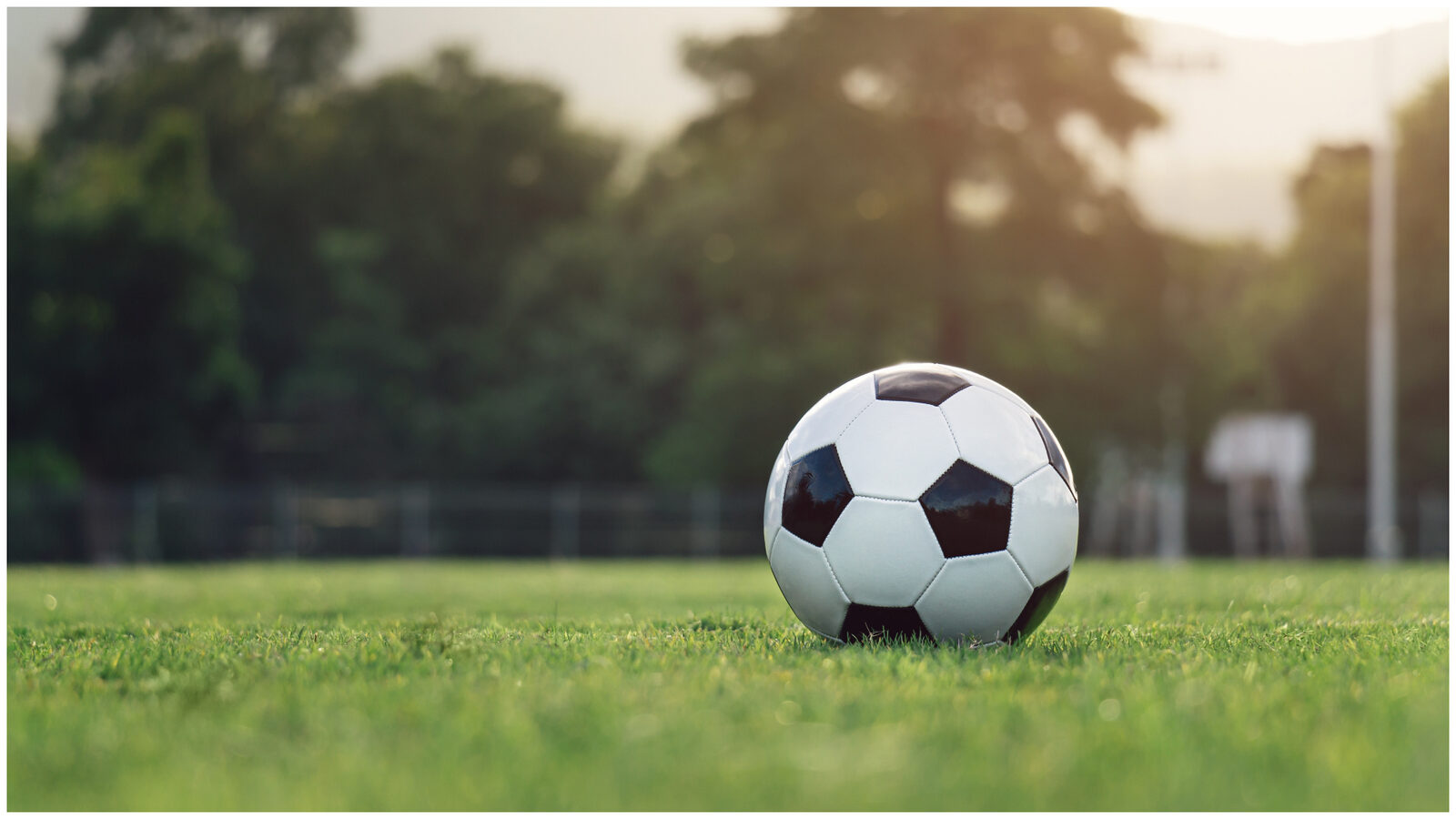 Dinamo – FCSB, posibila mutare la Cluj pe Cluj Arena