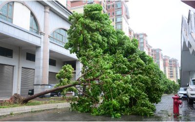 China: Un milion de oameni, evacuați de urgență