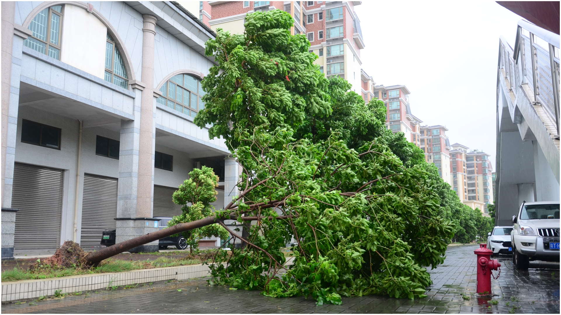 China: Un milion de oameni, evacuați de urgență