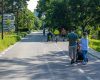 Primăria, somată: Sute de copaci riscă să fie tăiați