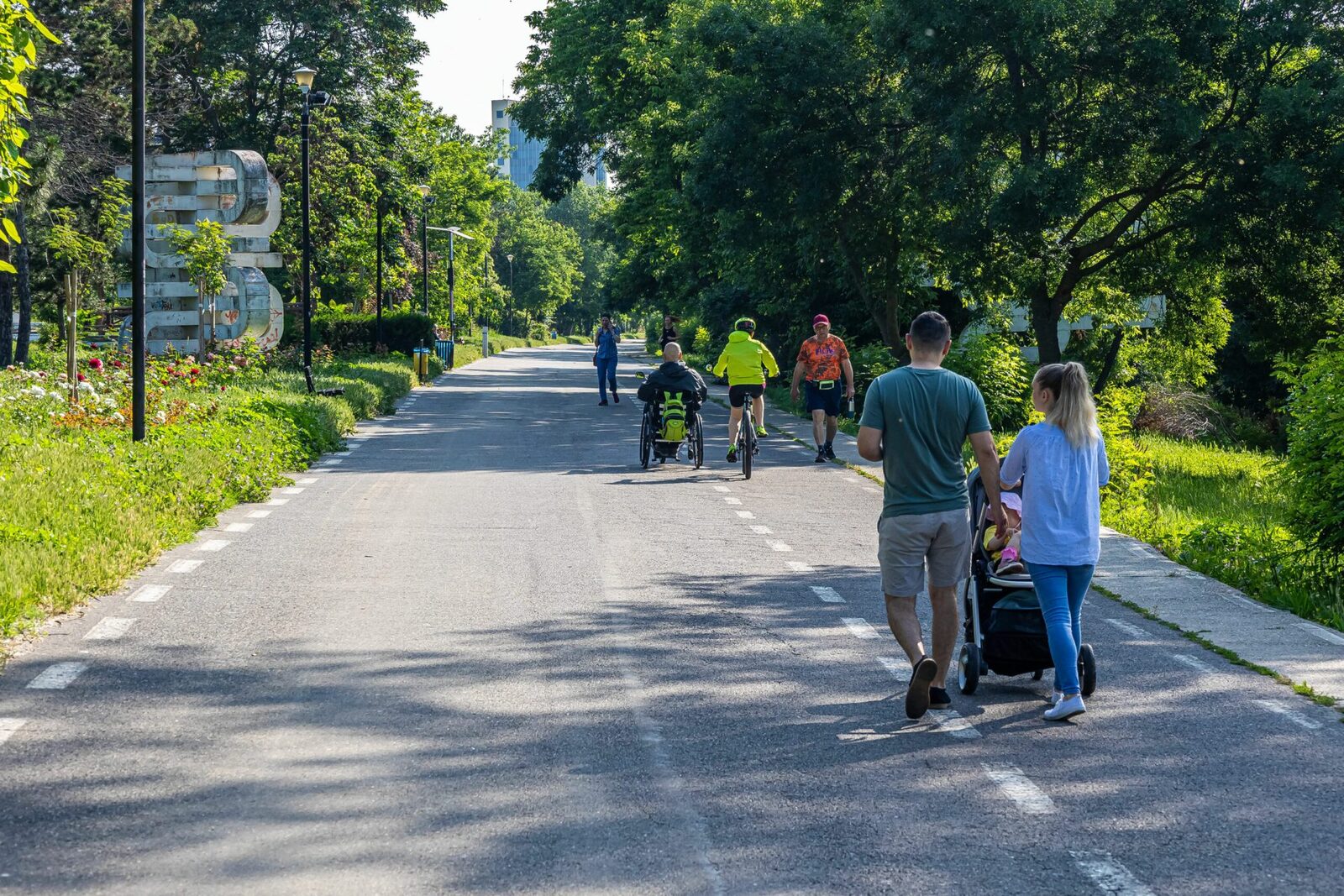 Primăria, somată: Sute de copaci riscă să fie tăiați