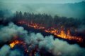 Gândacul-foc, alarmant: Ce ascunde atracția sa spre incendii