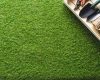 Canicula a ars gazonul? Sfaturi pro pentru o peluză verde