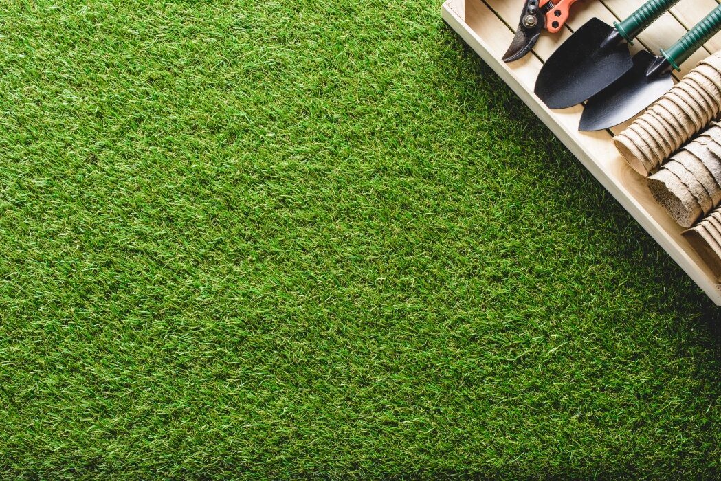 Canicula a ars gazonul? Sfaturi pro pentru o peluză verde