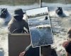 Hipopotam terorizează turiști în Botswana