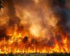 Atena: Peste 170 de pompieri luptă cu un incendiu devastator