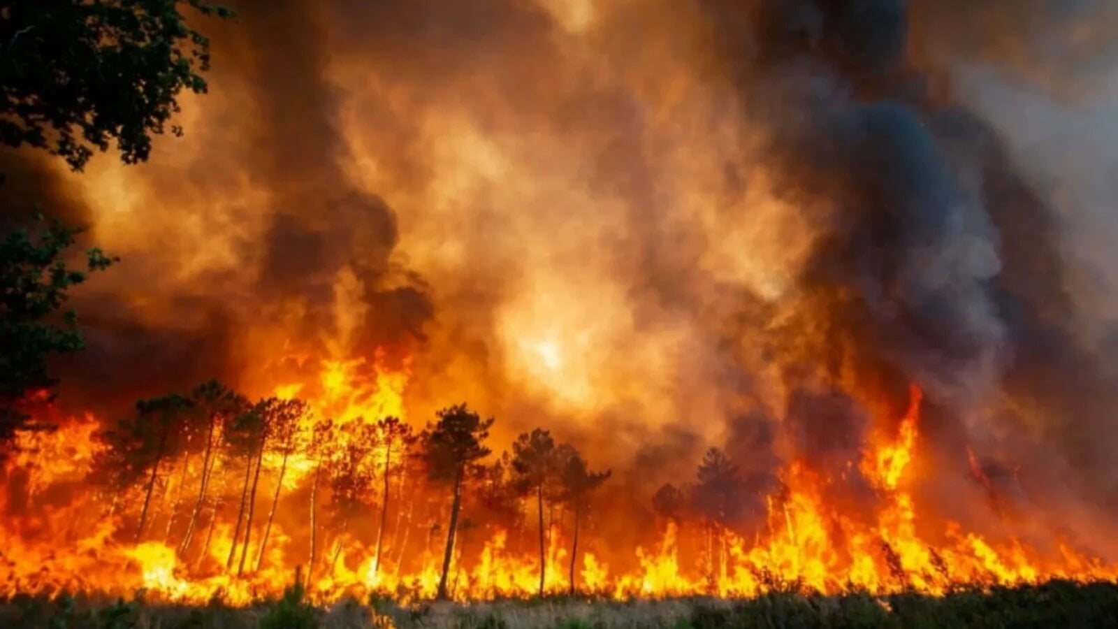 Atena: Peste 170 de pompieri luptă cu un incendiu devastator