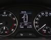 Mașină second-hand: Test Rapid pentru kilometraj dat înapoi