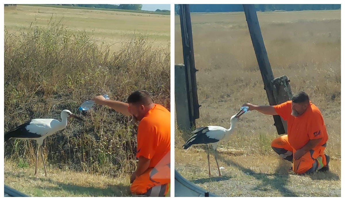 Muncitor de la Drumuri, Erou Național în Ungaria
