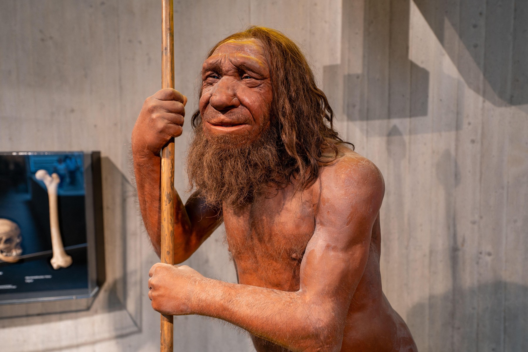 Neanderthalii ne-au lăsat gena forței: O moștenire rară în ADN
