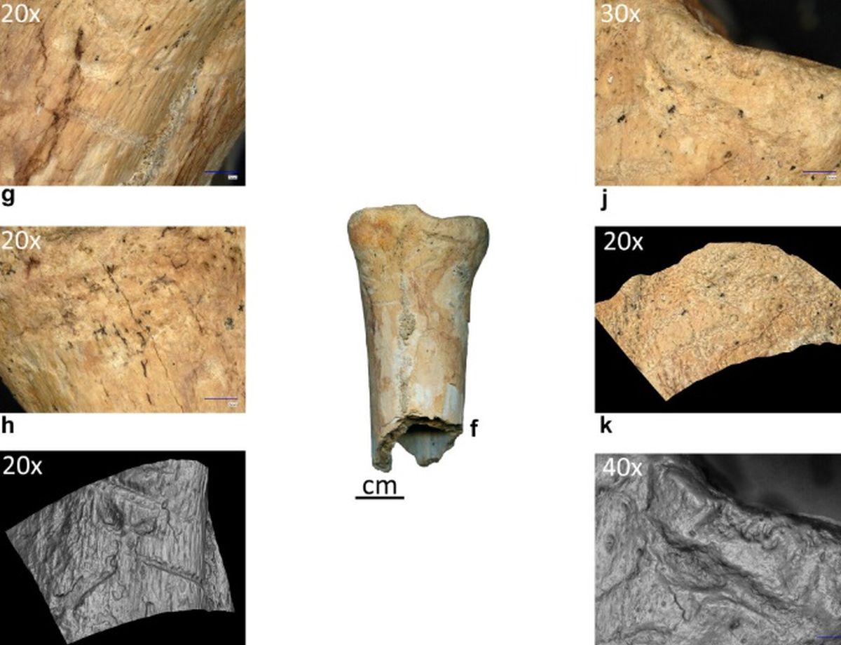 Neandertalienii, sculpteri din os: Premieră în România