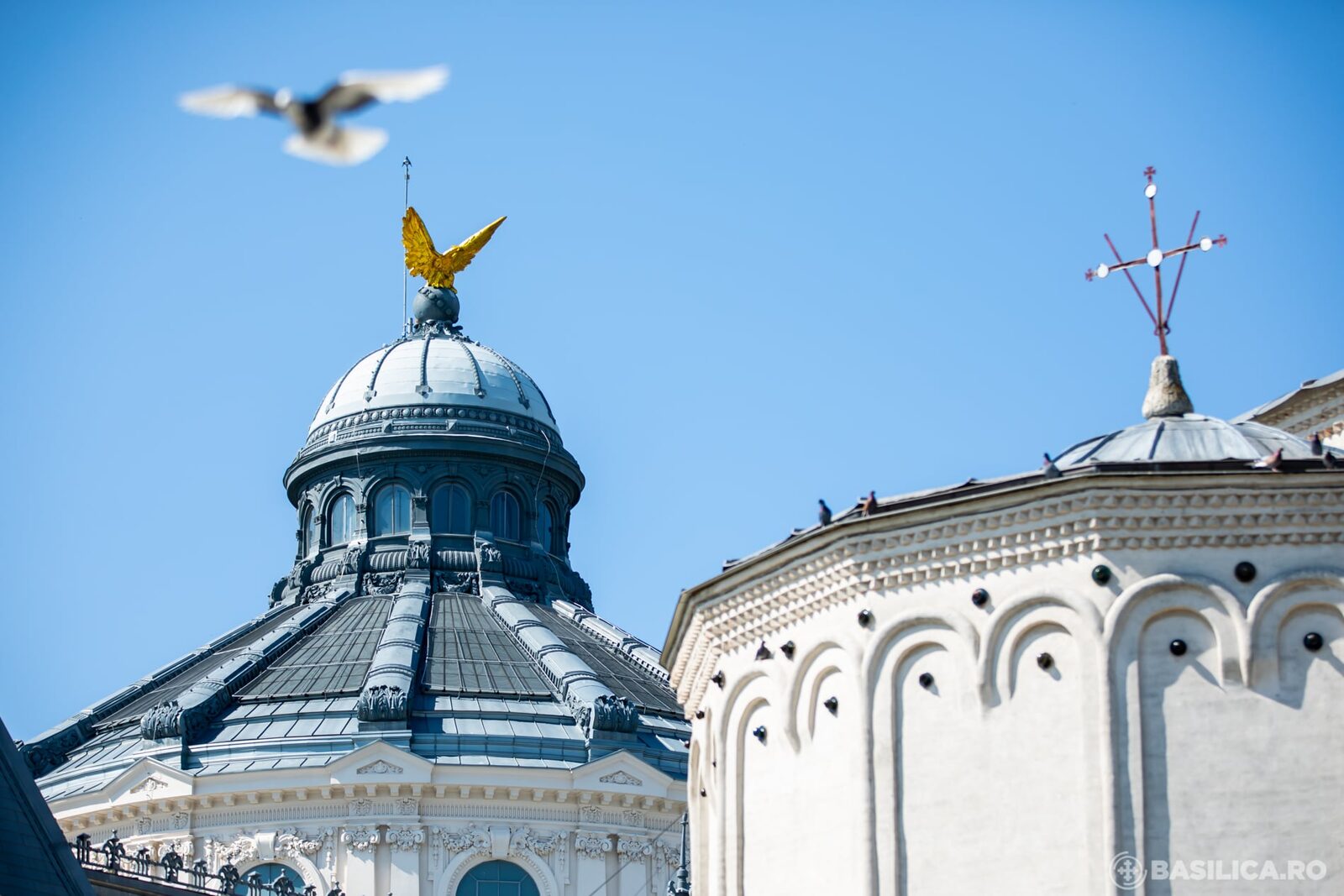 Patriarhia îndeamnă la ajutor pentru victimele caniculei