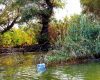 Horeca, disperată: Canalul Uzlina, blocat!