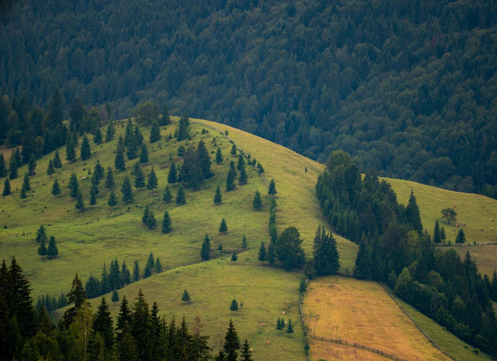 Bani europeni vs. Bio-realitate: 972 mil. € pentru România