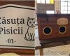 Arad: Căsuțe gratis pentru pisicile de stradă