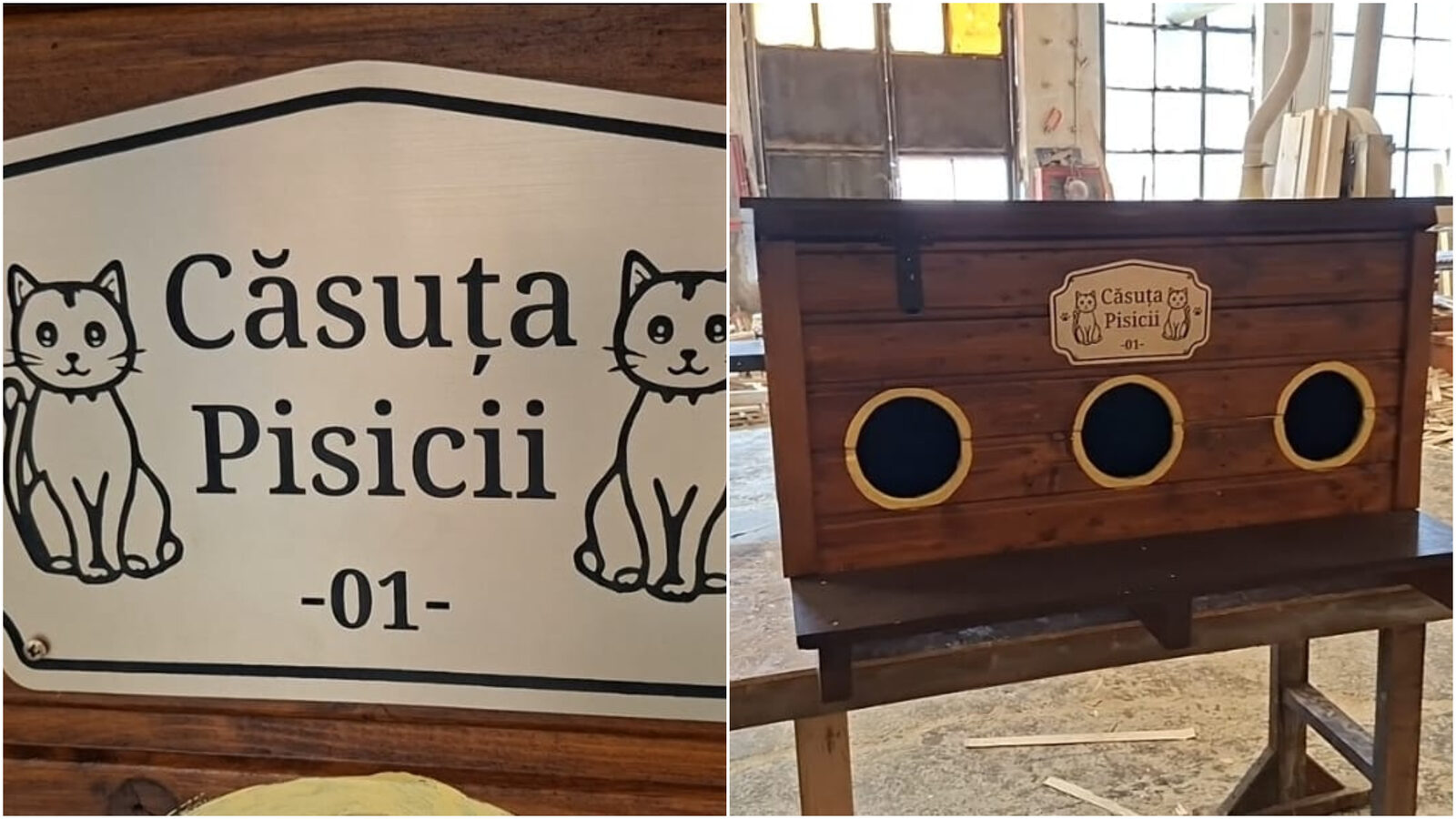 Arad: Căsuțe gratis pentru pisicile de stradă