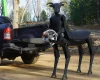 Robotul-centaur, coșmar cu drujbă, salvează vieți și e viral