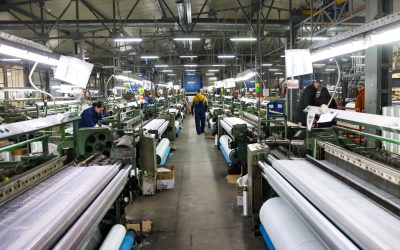 Roca Industry, blocaj financiar după preluarea Workshop Doors