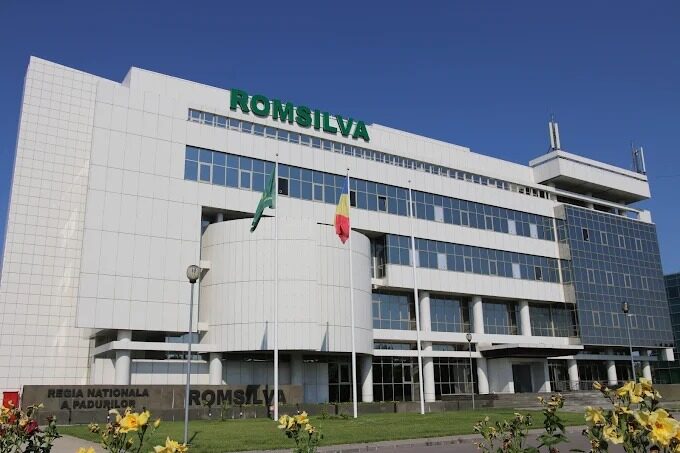 Romsilva, pe locul 2 național la negocieri fără publicare, după Moinești