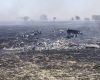 Doi piloți au murit în Texas, elicopter Apache prăbușit