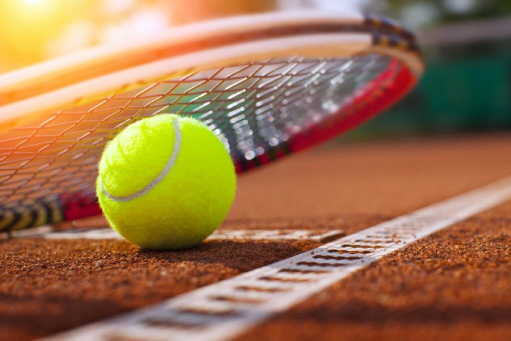 ȘOC: Campioană tenis, falită. Averea dispărută, acuze grave