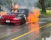 Tesla, în curtea pompierilor: Ce a urmat a uimit pe toată lumea