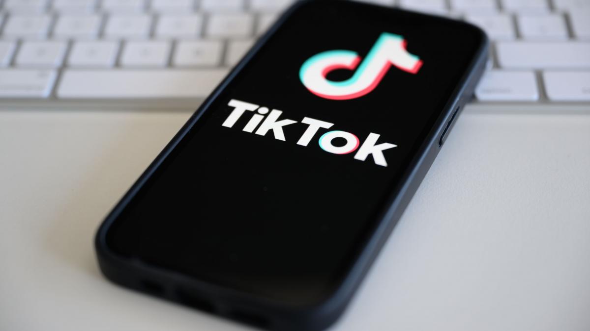USR vs PNL: TikTok, subiect de dispută. Blocaj la interzicerea