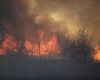 Incendii devastatoare în Caraș-Severin, pericol pentru sate