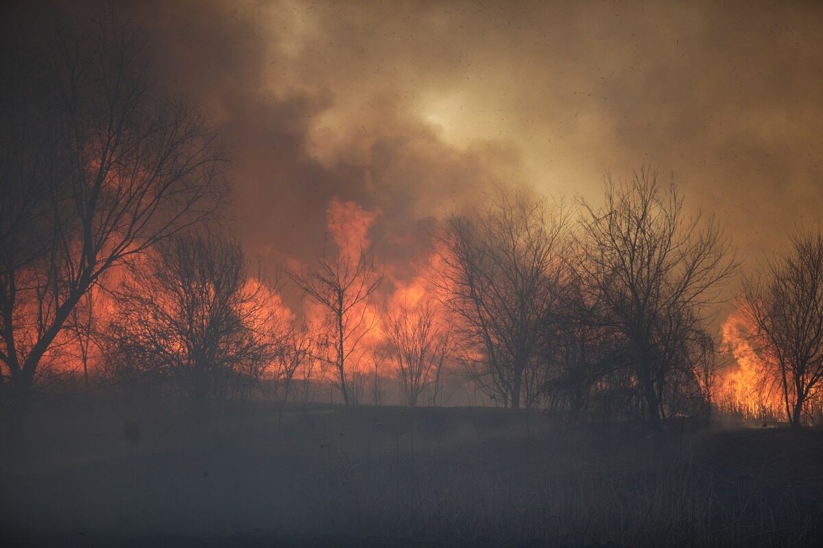 Incendii devastatoare în Caraș-Severin, pericol pentru sate