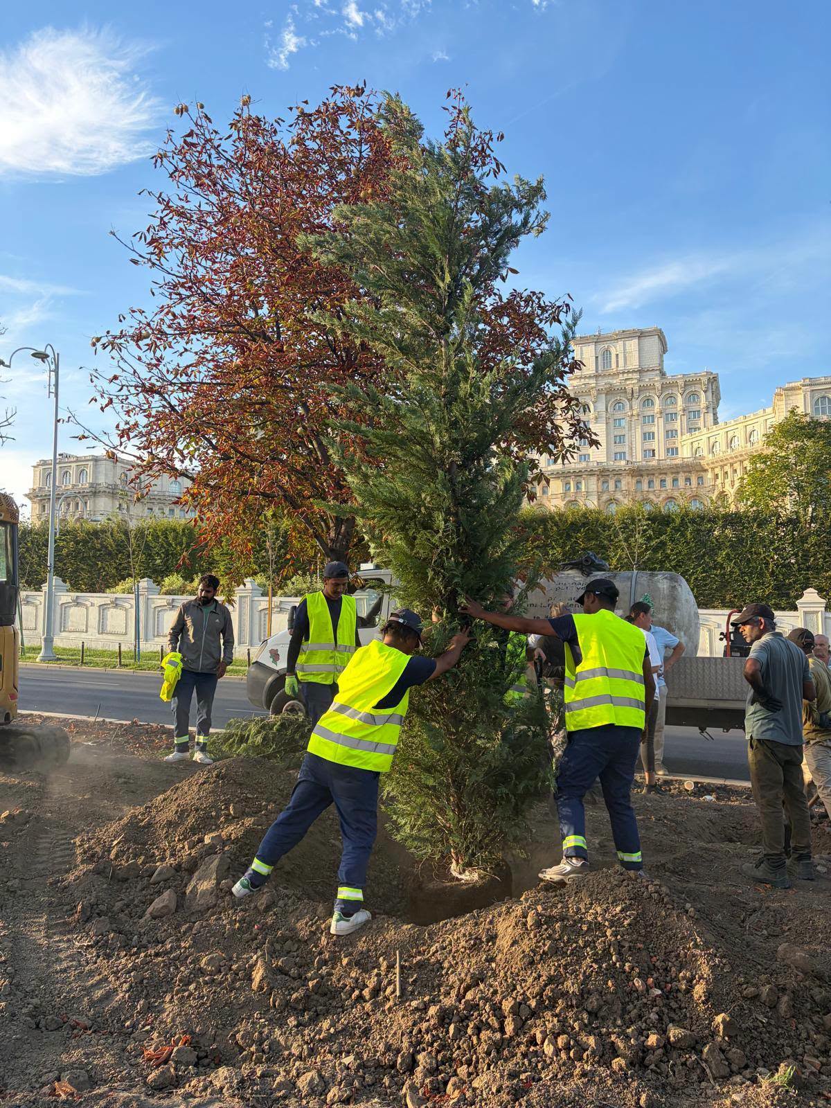 Bulevardul 13 Septembrie: 1.200 de arbori și 25.000 arbuști
