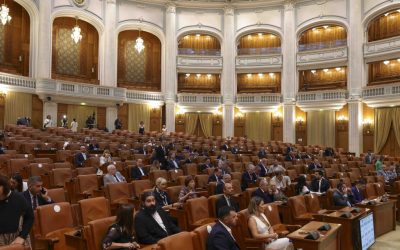 Cyberint: Peste 1000 de alerte, din 2021, pe IT-ul statului