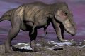 T-Rex, dinozaur cu sânge cald: Descoperire uimitoare din dinți