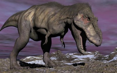 T-Rex, dinozaur cu sânge cald: Descoperire uimitoare din dinți